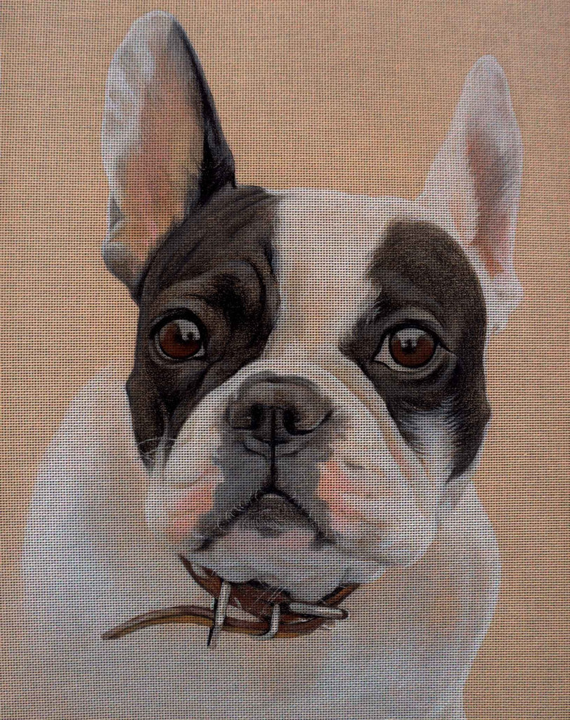 Needlepoint canvas 'Dog.Boston terrier'
