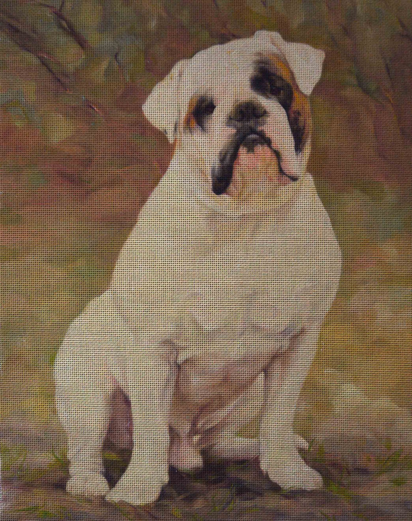 Needlepoint canvas 'Bulldog Bourgeois'