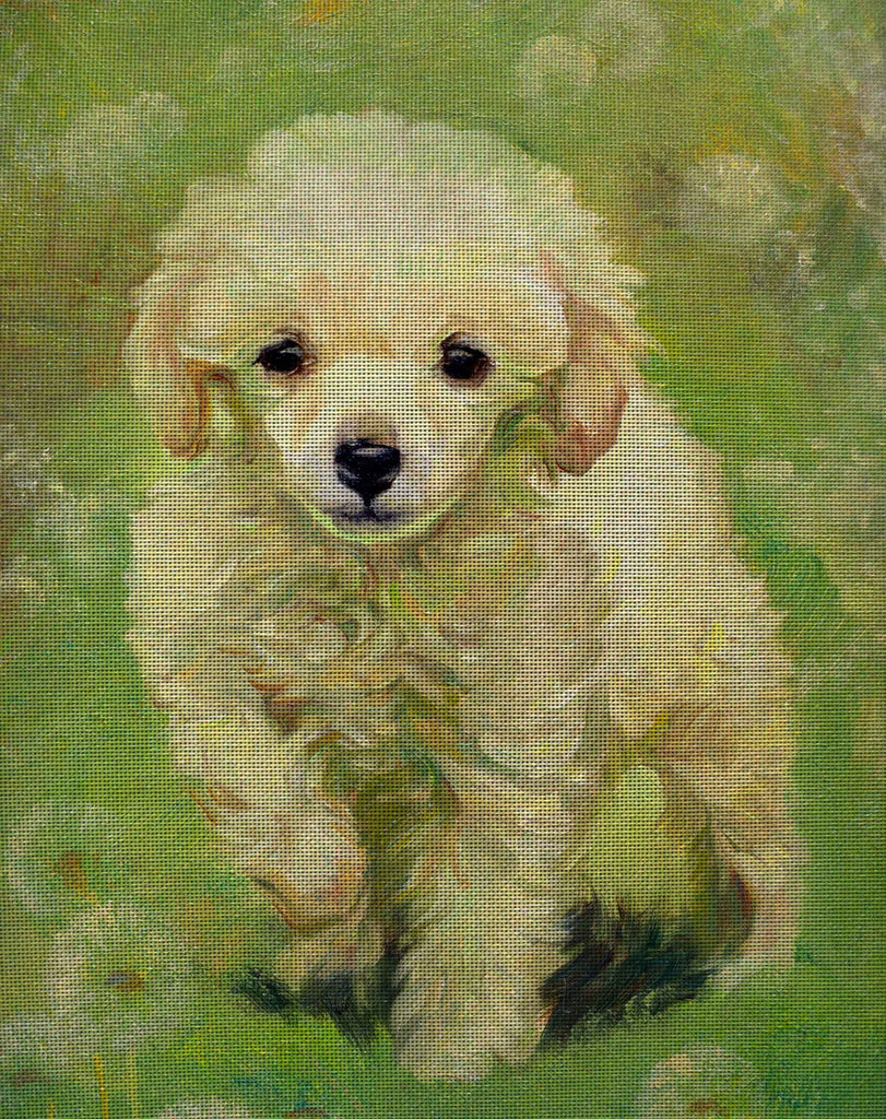 Needlepoint canvas 'Maltese dog-Dandelion'
