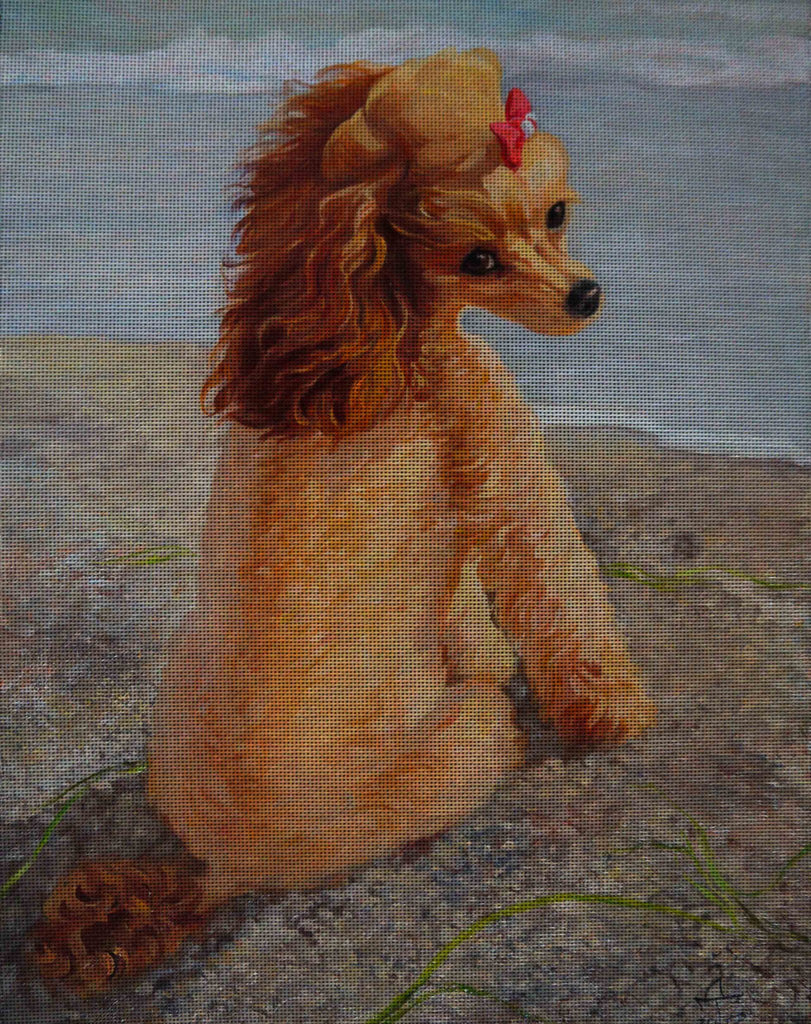 Needlepoint canvas 'Dog.Poodle Asol'
