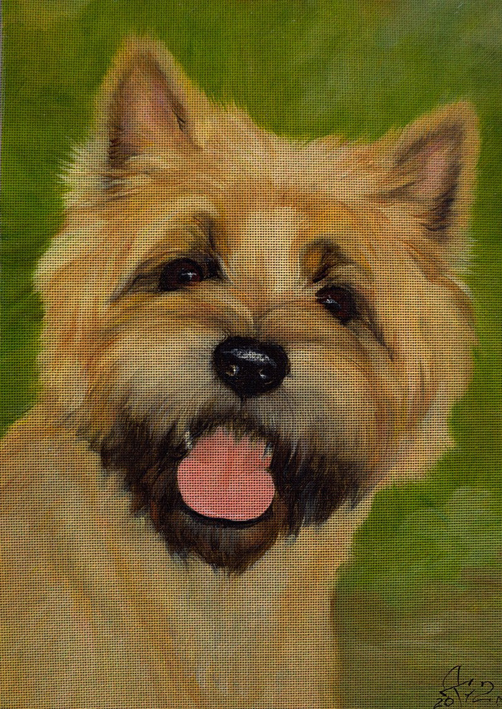 Needlepoint canvas 'Cairn Terrier Dog.Cherry'