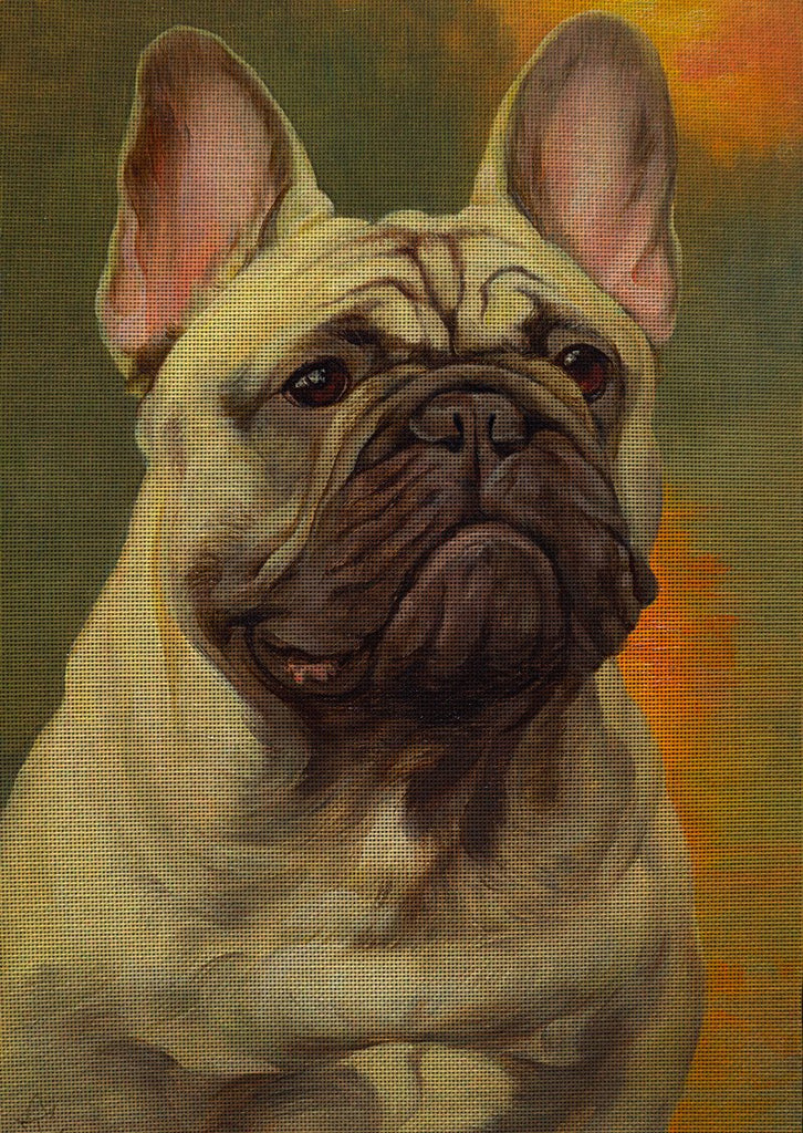 Needlepoint canvas 'French Bulldog.Butya'