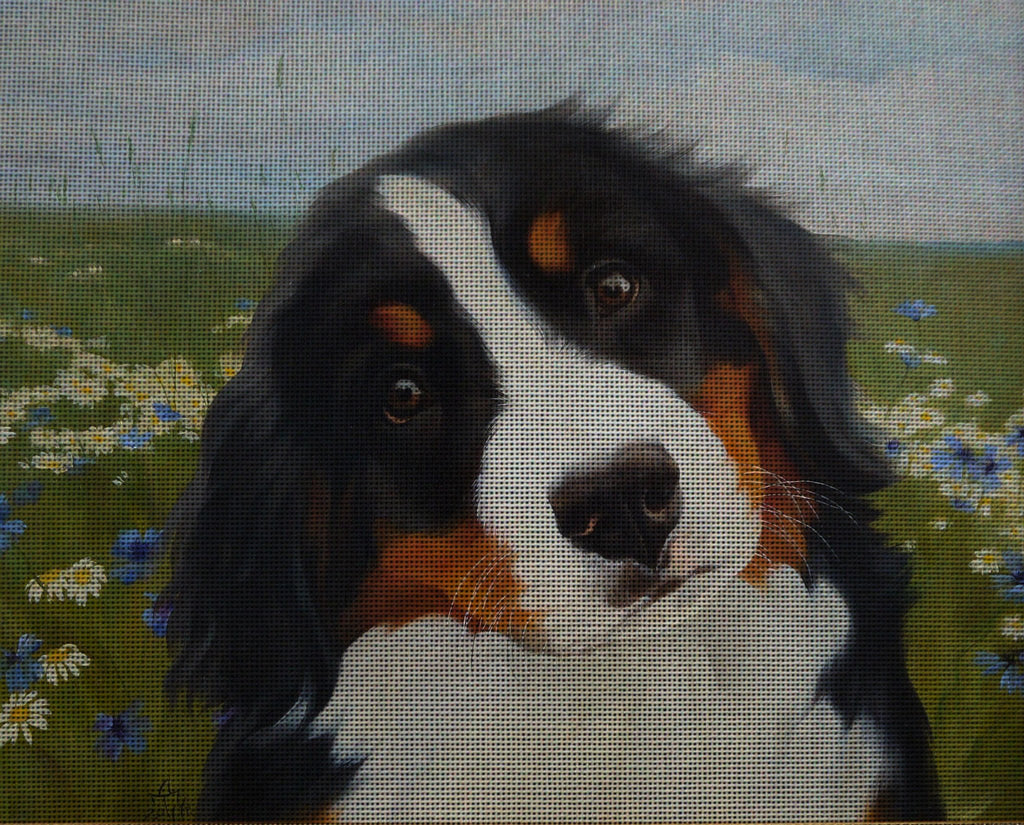 Needlepoint canvas 'Bernese Mountain Puppy'