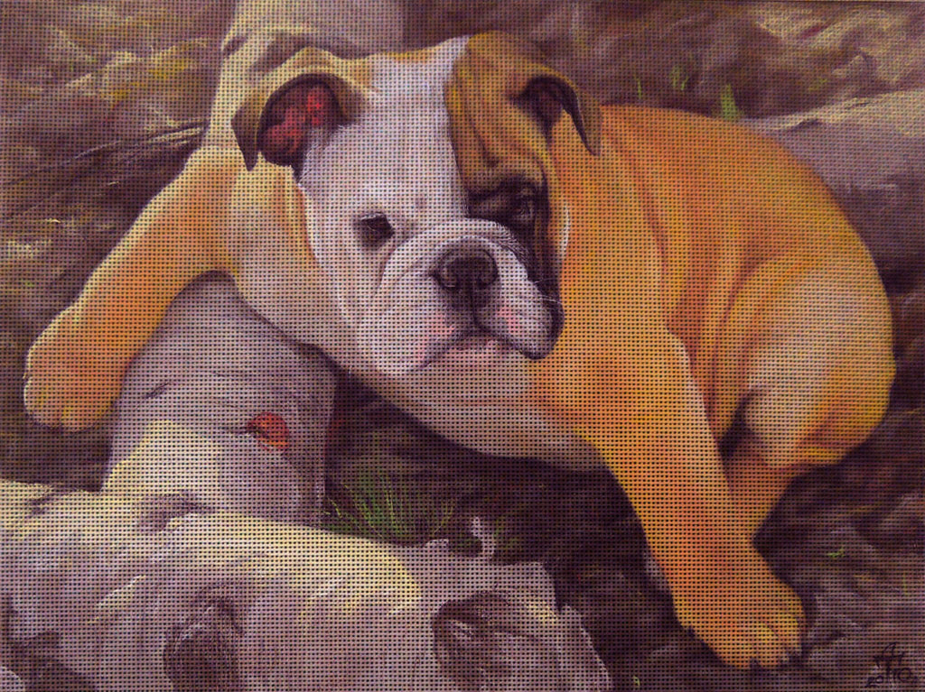 Needlepoint canvas 'English Buldog Puppy'