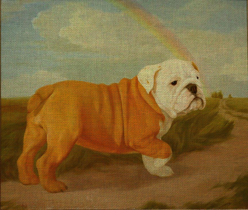 Needlepoint canvas 'English Buldog and Rainbow'