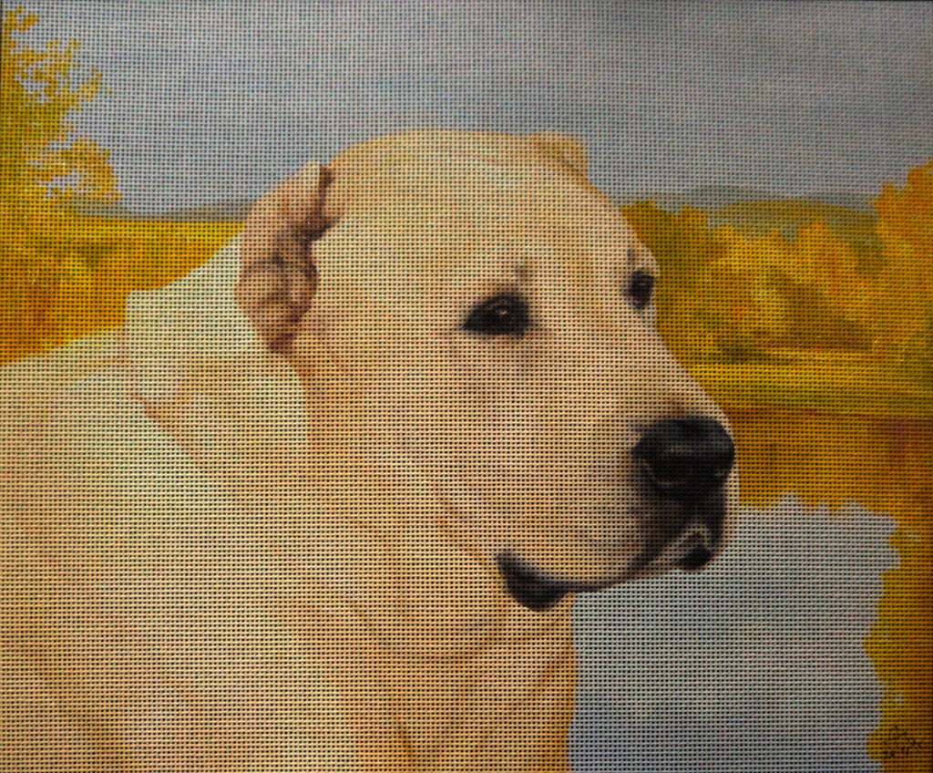 Needlepoint canvas 'Alabai Dog'